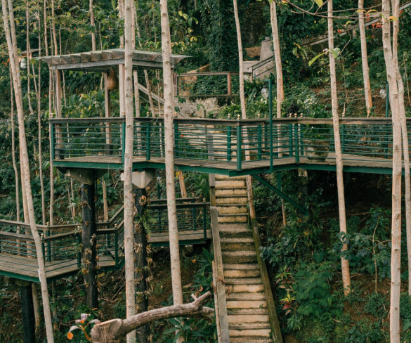 parigata-expesiences2