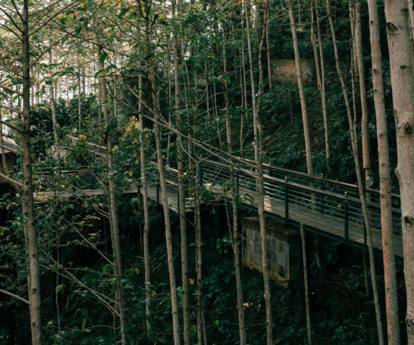 parigata-expesiences3