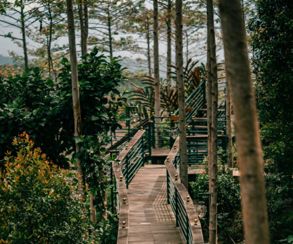 parigata-expesiences5